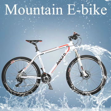 29er electric bicycle 350W mountain e bike