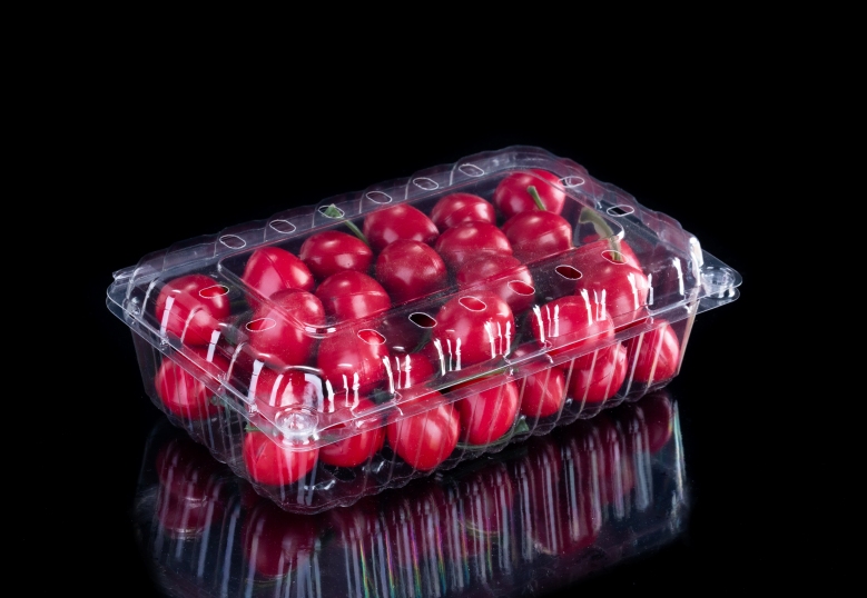 Conteneur de nourriture en plastique jetable de barquettes de fruits