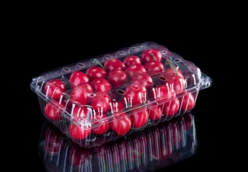 Disposable Plastic Fruit Punnets Food Container