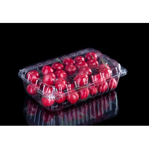 Conteneur de nourriture en plastique jetable de barquettes de fruits