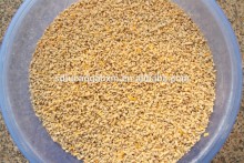 China manufacturer corn degerminator machine/maize germ remover/maize degerminator machine