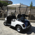 150AH battery latest EZGO model electric golf cart