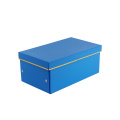 APEX Portable Foldable Cardboard Storage Box With Lid