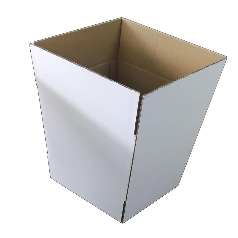 Export Packaging White Carton