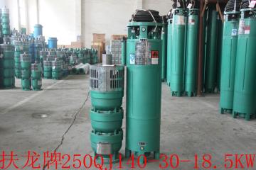 250QJ Series Vertical Water Irrigation Pumps