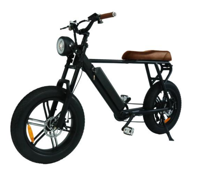 mountain electric bicycle