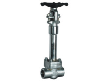 Steel Cryogenic Globe Valves