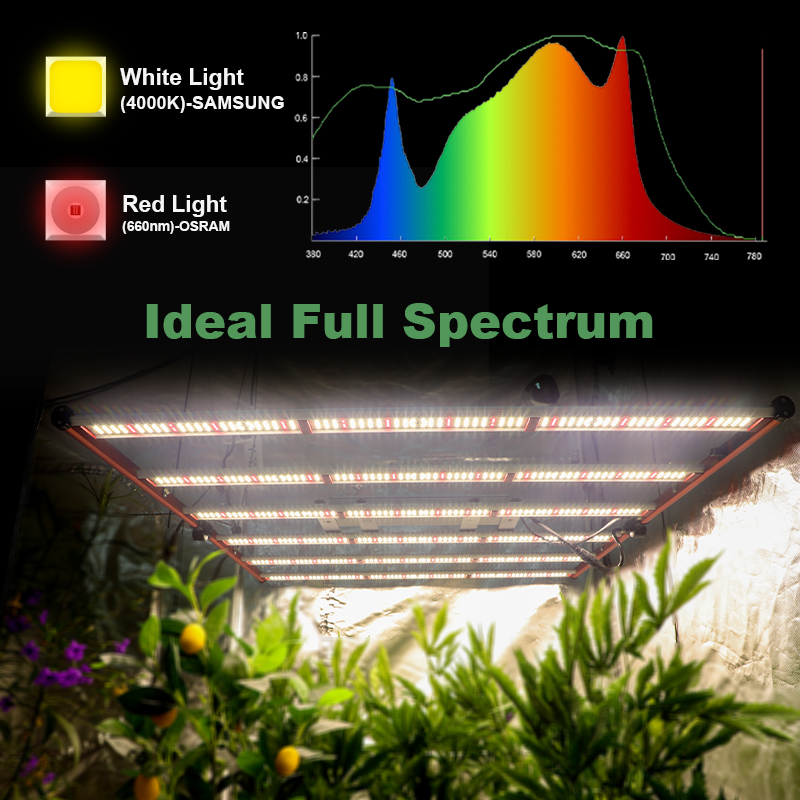 650W Grow Light Bar Samsung LM301B sera için