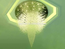 modern beautiful acaleph empress hotel light for loby