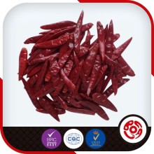 Hot Red Hot Chilli Pepper Seeds