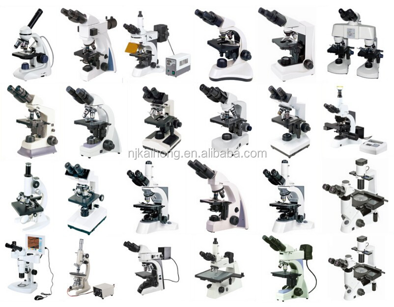 Biological Microscope