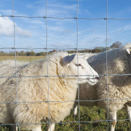 Clôture de champ de ferme de bétail en vrac galvanisée en gros pas cher