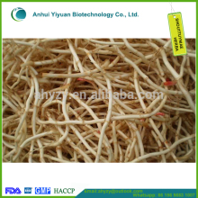 Houttuyniae herba Yuxingcao