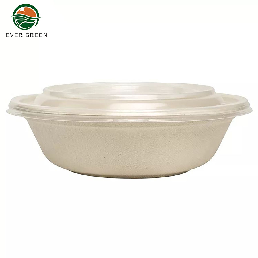 Disposable Bbiodegradable Paper Meal Pulp Bagasse Food Tray