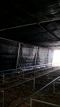 forever flowering auto blackout greenhouse