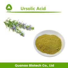 Extrato de folhas de alecrim com ácido ursólico 25% em pó