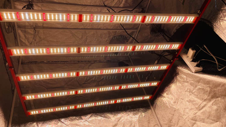 2021 New 600W LED Grow Light Bar