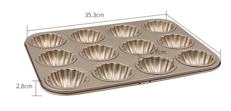 Madeleine Shell 12 3