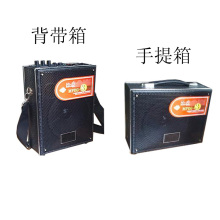 Mini Portable PA Sound System Wireless Amplifier T-2