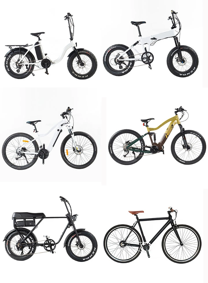 48V 1000W Electric Bike Bicycle and Ebike for Adults