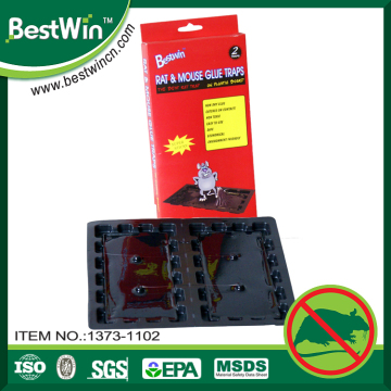 professional adhesive factory household a mouse trap