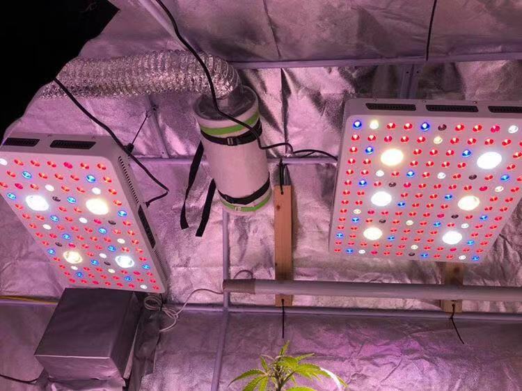 COB LED Grow Lights