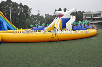 Supply Professional Inflatable Water Park Design Build