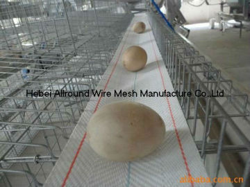 poultry feeders and drinkers egg belt  