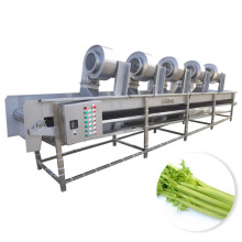 Vegetable and Fruit Cleaning Drying Machine