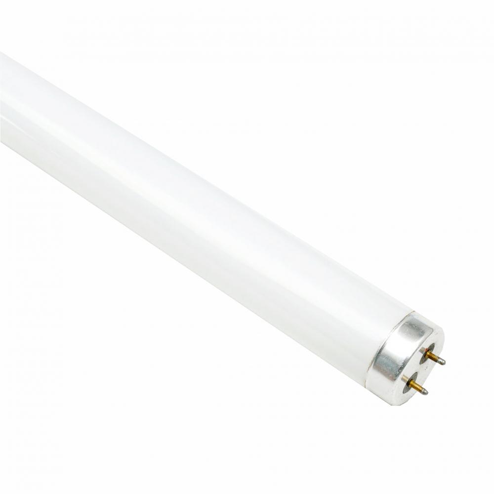 T8 standard straight tube fluorescent lamp