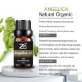 Olio essenziale di Angelica Root per aumentare il sistema nervoso