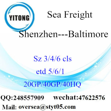 Shenzhen Port Sea Freight Shipping To Baltimore