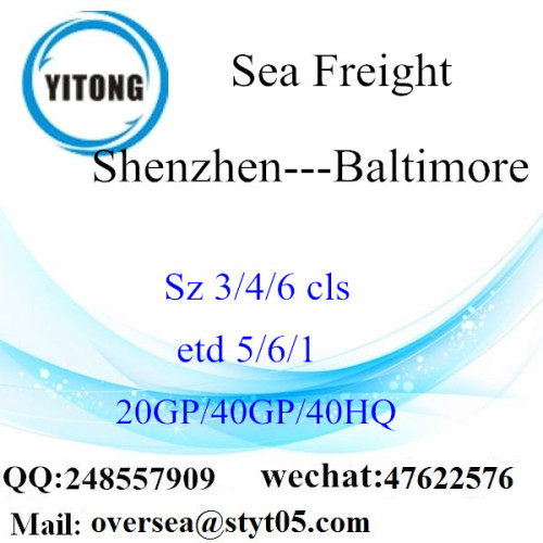 Shenzhen Port Sea Freight Shipping Para Baltimore