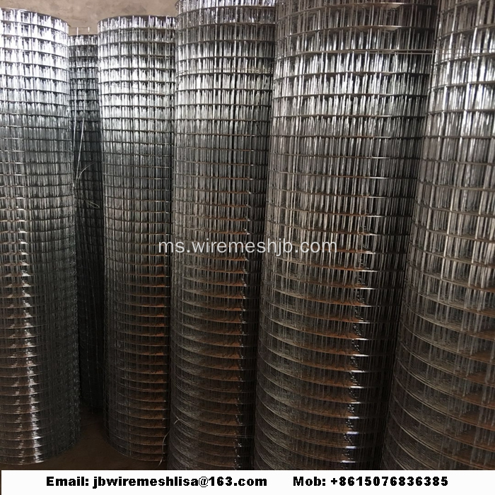 Welded Wire Mesh Galvanized Welded Wire Mesh Roll