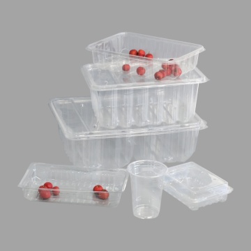 High Clear Food Grade PET Fruit Packing Tray