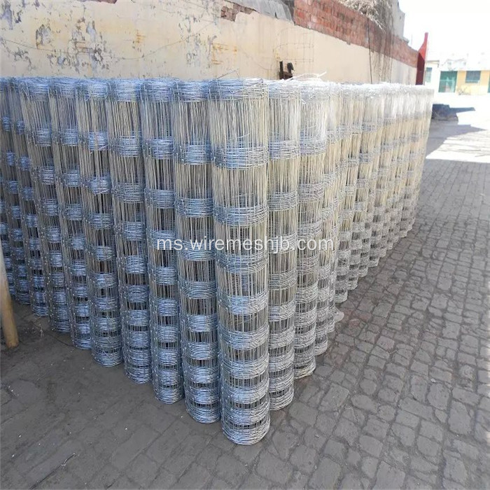 1.6M * 50M Galvanized Steel Wire Kraal Network