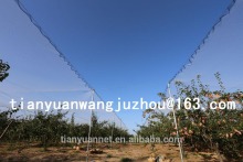 Green house used anti bird net /hail protection net /hail guard net