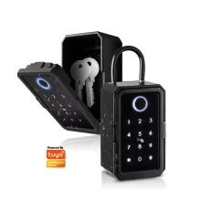 Intelligent Tuya Outdoor Waterproof Safe Lock Key Box