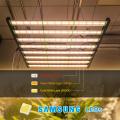 Phlizon LED à LED bon marché Lights 800W