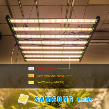 Samsung LM301B 1000W phát triển ánh sáng