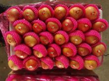 High Sugar Degree Honey FUJI Apple