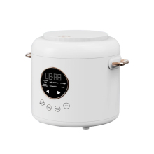 Professional Manufacturer: 2L Multifunctional Smart Mini Rice Cooker for Home Cooking