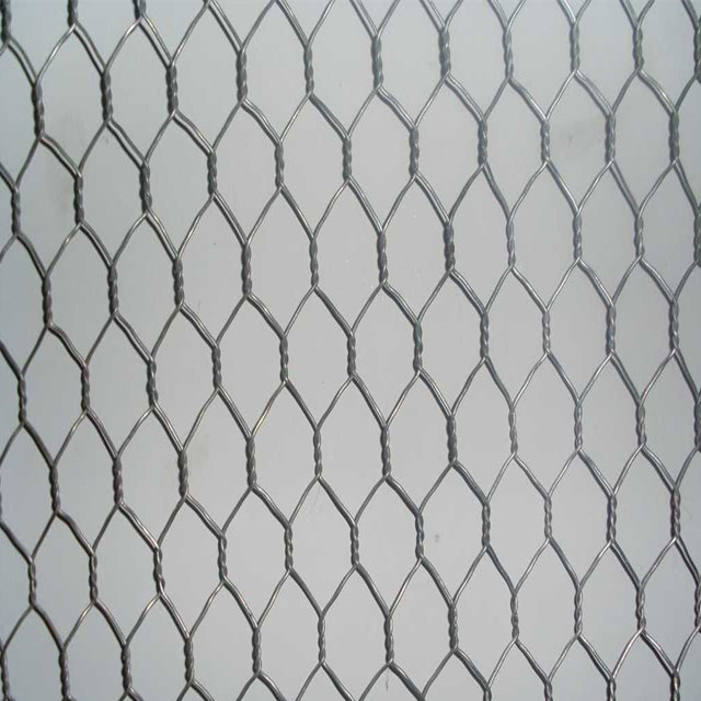 Galvanized Hexagonal Poultry Mesh Netting Used for Bird Cages