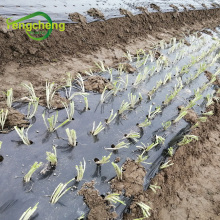 agricultural siver/black mulching paper for seeding