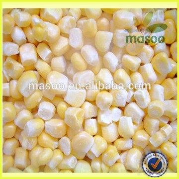 IQF Frozen white and yellow Sweet Corn Kernels