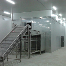 High Efficiency Strawberry Fluidized Blast Freezer