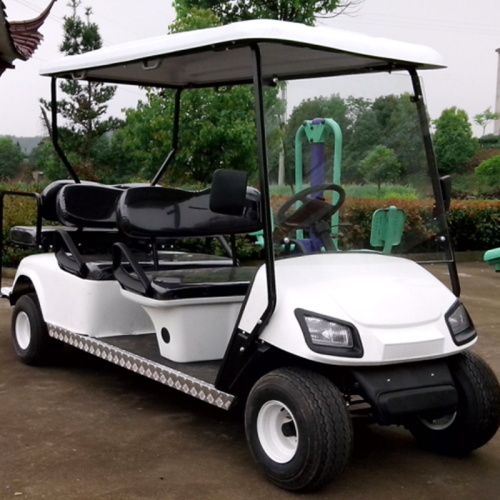 Carrello da golf elettrico con sedile fisso