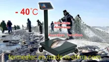 1000kg Platform Balance Electronic Price Computing Scale Digital Weigher Platform Scale