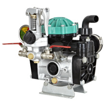 Diaphragm Pumps Italy Model 35L/M with Regulator
