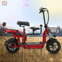 Factory Discount 2 Seat Electric Bike & Folding Electric Scooter Custom Offers